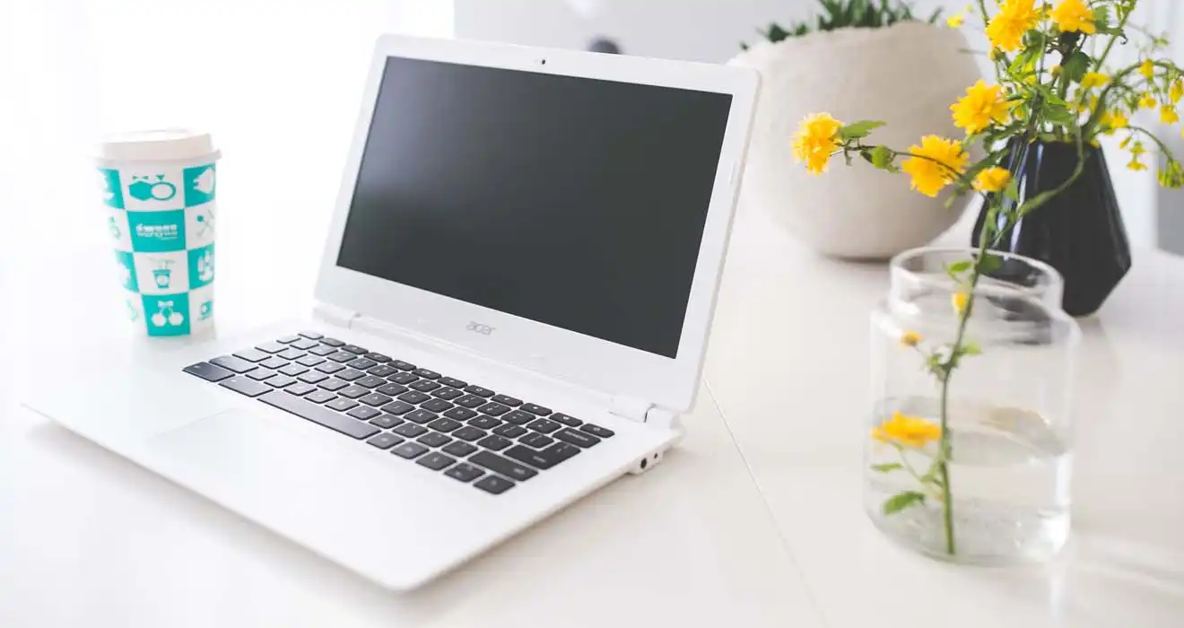 Ремонт ноутбуков Acer в Черноголовке